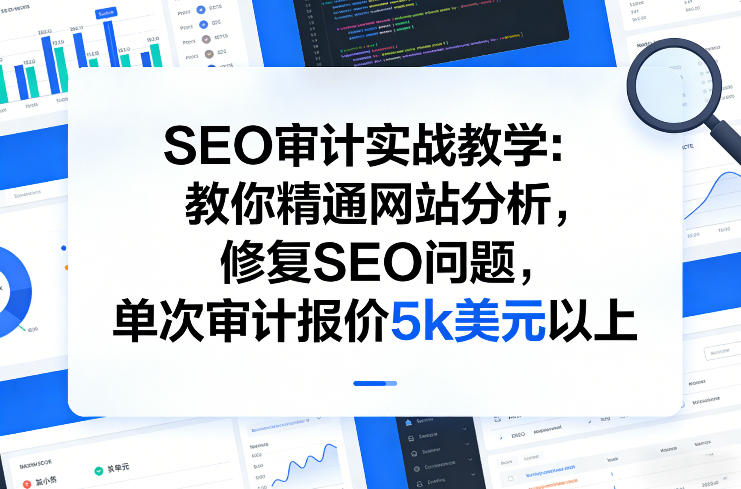 SEO审计实战教学：教你精通网站分析，修复SEO问题，单次审计报价5k美元以上-天风资源网
