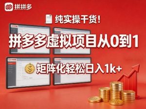 纯实操干货!拼多多虚拟项目从0到1,矩阵化轻松日入1k+【揭秘】-天风资源网