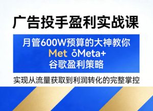 广告投手盈利实战课,月管600W预算的大神教你Meta+谷歌盈利策略,实现从流量获取到利润转化的完整掌控-天风资源网