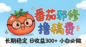 番茄撸金术:日入300+稳如泰山!独家玩法曝光,操作门槛极低,无需经验,小白闭眼上车【揭秘】-天风资源网