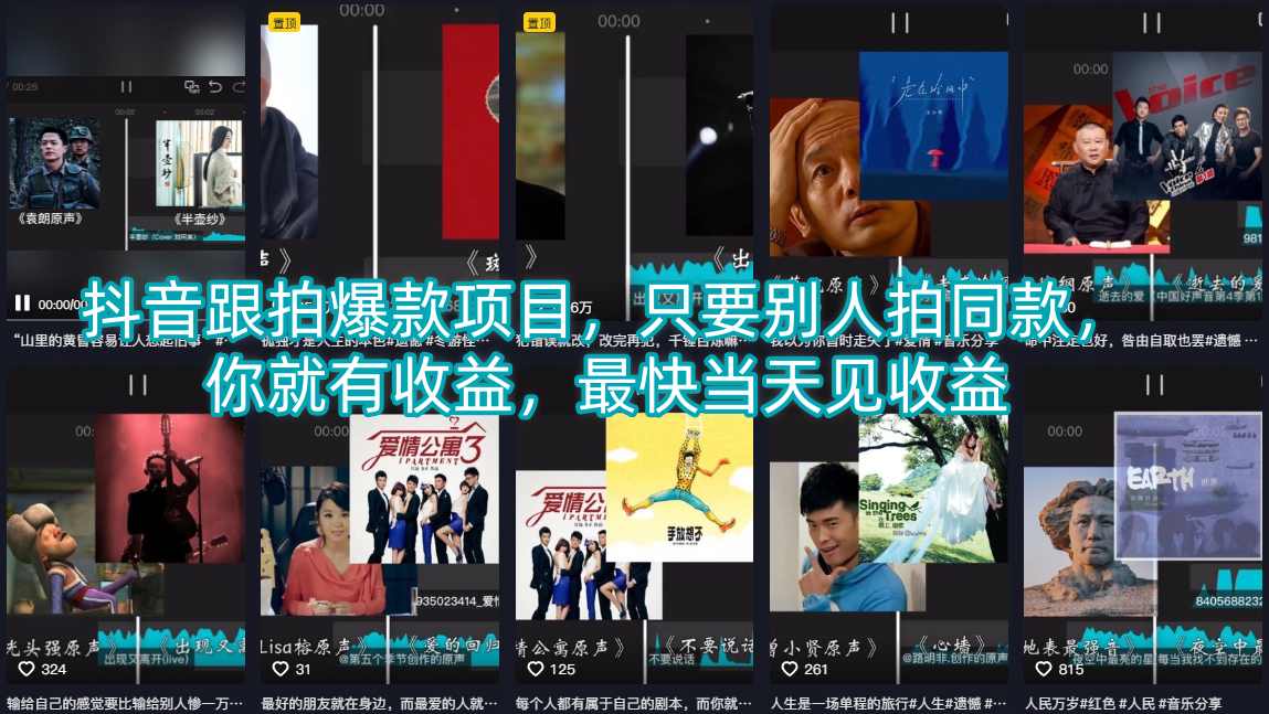 抖音跟拍爆款项目，只要别人拍同款，你就有收益，最快当天见收益-天风资源网
