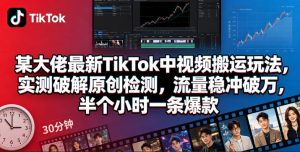 某大佬最新TikTok中视频搬运玩法，实测破解原创检测，流量稳冲破万，半个小时一条爆款-天风资源网
