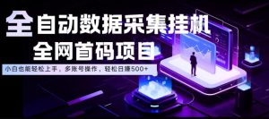全自动数据采集挂G，全网首码项目，简单易操作，小白也能轻松上手，多账号操作，轻松日入500+【揭秘】-天风资源网