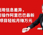 利用信息差异，零投资操作阿里巴巴最新管道项目轻松月赚10000+天风资源网，提供全网火热网站资源、培训资料、课程、创业教程天风资源网
