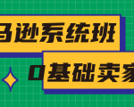 亚马逊系统班，专为0基础卖家量身打造，亚马逊运营流程与架构天风资源网，提供全网火热网站资源、培训资料、课程、创业教程天风资源网