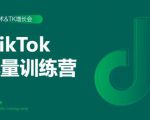 2020最新TikTok流量增长训练营（完结）附PPT天风资源网，提供全网火热网站资源、培训资料、课程、创业教程天风资源网