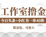 工作室撸金二件套：撸今日头条原创收益+小红书一单利润40块项目天风资源网，提供全网火热网站资源、培训资料、课程、创业教程天风资源网