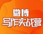 村西边老王·微博超级写作实战营,帮助你粉丝猛涨价值999元天风资源网,提供全网火热网站资源、培训资料、课程、创业教程天风资源网