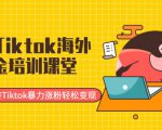最新Tiktok海外掘金培训课堂：带你玩转Tiktok暴力涨粉轻松变现天风资源网，提供全网火热网站资源、培训资料、课程、创业教程天风资源网