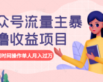 公众号流量主暴利撸收益项目,空闲时间操作单人月入过万天风资源网,提供全网火热网站资源、培训资料、课程、创业教程天风资源网