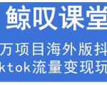 鲸叹号·海外TIKTOK训练营,百万项目海外版抖音tiktok流量变现玩法天风资源网,提供全网火热网站资源、培训资料、课程、创业教程天风资源网