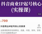 抖音商业IP起号核心实操课,带你玩转算法,流量,内容,架构,变现天风资源网,提供全网火热网站资源、培训资料、课程、创业教程天风资源网