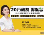 叶小鱼21天短视频文案拆书营，学完轻松搞定各类书单短视频文案天风资源网，提供全网火热网站资源、培训资料、课程、创业教程天风资源网
