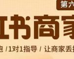贾真-小红书商家营第6期商家版,21天带货陪跑课,让商家丢掉付流量天风资源网,提供全网火热网站资源、培训资料、课程、创业教程天风资源网
