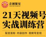 张萌21天视频号实战训练营，裂变涨粉、内容创作、视频号变现 价值298元天风资源网，提供全网火热网站资源、培训资料、课程、创业教程天风资源网