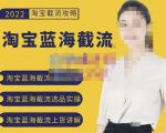 2022淘宝蓝海截流攻略，淘宝蓝海截流选品上货实操讲解天风资源网，提供全网火热网站资源、培训资料、课程、创业教程天风资源网