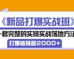 凌童《新品打爆实战班》,一套完整的实操实战落地方法，打爆链接超2000+（28节课)天风资源网，提供全网火热网站资源、培训资料、课程、创业教程天风资源网