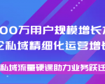 8000万用户规模增长方法论私域精细化运营增长，私域流量硬课助力业务跃迁天风资源网，提供全网火热网站资源、培训资料、课程、创业教程天风资源网