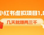 《小红书虚拟项目1.0》账号注册+养号+视频制作+引流+变现,几天就赚两三千天风资源网,提供全网火热网站资源、培训资料、课程、创业教程天风资源网