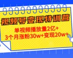 21天视频号变现特训营:单视频播放量2亿+3个月涨粉30w+变现20w+(第14期)天风资源网,提供全网火热网站资源、培训资料、课程、创业教程天风资源网