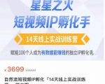 瑶瑶·自然流短视频IP孵化第二期,14天线上实战训练营,赋能100个人成为有数据能赚钱的独立IP孵化手天风资源网,提供全网火热网站资源、培训资料、课程、创业教程天风资源网