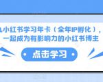 厦九九小红书学习年卡(全年IP孵化),沉浸式学习,一起成为有影响力的小红书博主天风资源网,提供全网火热网站资源、培训资料、课程、创业教程天风资源网