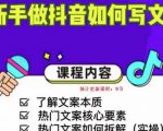 新手做抖音如何写文案，手把手实操如何拆解热门文案天风资源网，提供全网火热网站资源、培训资料、课程、创业教程天风资源网