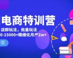 美团电商特训营:美团·店群玩法,无脑铺货月产出6000-15000+精细化月产2w+天风资源网,提供全网火热网站资源、培训资料、课程、创业教程天风资源网