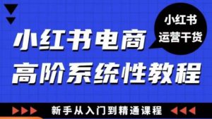 小红书电商高阶系统教程,新手从入门到精通系统课天风资源网,提供全网火热网站资源、培训资料、课程、创业教程天风资源网