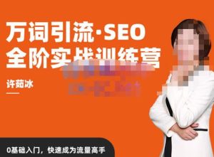 许茹冰·万词引流-SEO全阶实战训练营,0基础入门,快速成为流量高手天风资源网,提供全网火热网站资源、培训资料、课程、创业教程天风资源网