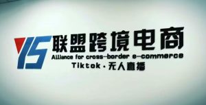 YS联盟·Tiktok无人直播,不出镜不剪辑不拍摄不发货无售后的跨境短视频躺赚玩法天风资源网,提供全网火热网站资源、培训资料、课程、创业教程天风资源网