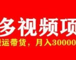 多多带货视频快速50爆款拿带货资格，搬运带货，月入30000【全套脚本+详细玩法】天风资源网，提供全网火热网站资源、培训资料、课程、创业教程天风资源网