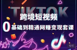 跨境短视频TIKTOK 0基础到精通网赚变现套课,跨境短视频独立站带货变现技巧天风资源网,提供全网火热网站资源、培训资料、课程、创业教程天风资源网