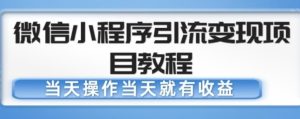 微信小程序引流变现项目教程,当天操作当天就有收益,变现不再是难事天风资源网,提供全网火热网站资源、培训资料、课程、创业教程天风资源网