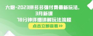 大炮·2023拼多多强付费最新玩法，3月新课​78分钟详细讲解玩法流程天风资源网，提供全网火热网站资源、培训资料、课程、创业教程天风资源网