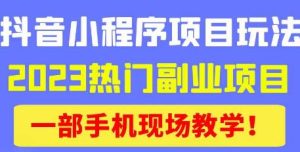 抖音小程序9.0新技巧,2023热门副业项目,动动手指轻松变现天风资源网,提供全网火热网站资源、培训资料、课程、创业教程天风资源网