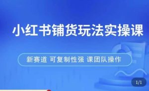 小红书铺货玩法实操课,流量大,竞争小,非常好做,新赛道,可复制性强,可团队操作天风资源网,提供全网火热网站资源、培训资料、课程、创业教程天风资源网