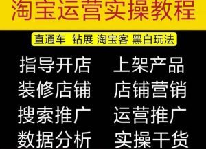 2023淘宝开店教程0基础到高级全套视频网店电商运营培训教学课程天风资源网，提供全网火热网站资源、培训资料、课程、创业教程天风资源网