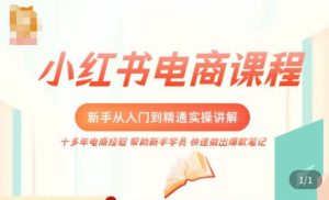 小红书电商新手入门到精通实操课,从入门到精通做爆款笔记,开店运营天风资源网,提供全网火热网站资源、培训资料、课程、创业教程天风资源网