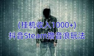 抖音Steam撸音浪玩法，挂机一天收入1000+不露脸 不说话 不封号 社恐人群福音天风资源网，提供全网火热网站资源、培训资料、课程、创业教程天风资源网