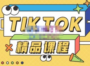 电商孵化中心·TikTok精品课程，教你玩转海外抖音，低成本创业，带您从0开始玩转TikTok天风资源网，提供全网火热网站资源、培训资料、课程、创业教程天风资源网