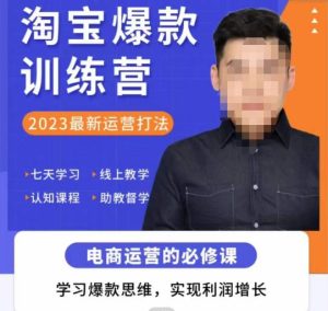 爱上黄昏·淘宝爆款训练营，2023最新运营打法，学习爆款思维，实现利润增长天风资源网，提供全网火热网站资源、培训资料、课程、创业教程天风资源网