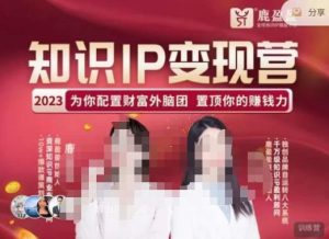 鹿盈盈-知识IP变现实操营,普通人可复制的知识产品落地实操课,带你打通知识IP变现底层逻辑天风资源网,提供全网火热网站资源、培训资料、课程、创业教程天风资源网