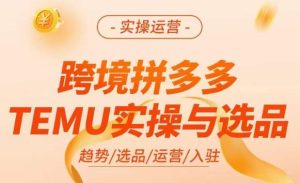 跨境拼多多TEMU实操与选品,掌握平台运营方法技巧,选品避坑12条标准,爆款的底层思路等天风资源网,提供全网火热网站资源、培训资料、课程、创业教程天风资源网