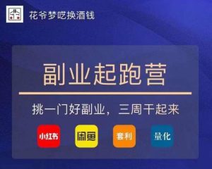 花爷-副业起跑营第2期,挑一门好副业,三周干起来(闲鱼|小红书|量化|套利)天风资源网,提供全网火热网站资源、培训资料、课程、创业教程天风资源网