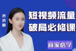 2023最新透糖短视频流量破局必修课——商家必学天风资源网，提供全网火热网站资源、培训资料、课程、创业教程天风资源网