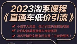 2023直通车低价引流玩法课程，小成本大流量，低价引流快速拉新收割，让你快速掌握直通车突破瓶颈天风资源网，提供全网火热网站资源、培训资料、课程、创业教程天风资源网