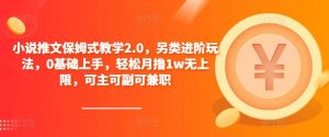 小说推文保姆式教学2.0，另类进阶玩法，0基础上手，轻松月撸1w无上限，可主可副可兼职天风资源网，提供全网火热网站资源、培训资料、课程、创业教程天风资源网