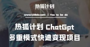 热狐计划：王大陆ChatGpt多重变现实操课，多种模式快速变现天风资源网，提供全网火热网站资源、培训资料、课程、创业教程天风资源网