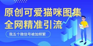 黑科技纯原创可爱猫咪图片，全网精准引流，实操5个VX号被加频繁天风资源网，提供全网火热网站资源、培训资料、课程、创业教程天风资源网